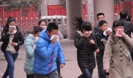 新建路中学入学最新爆料,揭秘招生政策与入学流程