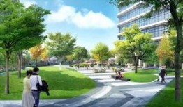 杭州西湖区爆料事件最新,事件真相与后续进展全解析