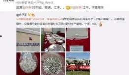 宁波爆料网络事件最新,揭秘背后真相与网络舆论风暴